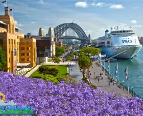 Sydney Photo Tours - Accommodation Ballina 5