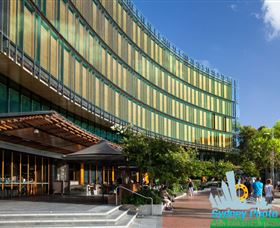 Sydney Photo Tours - Accommodation Ballina 8