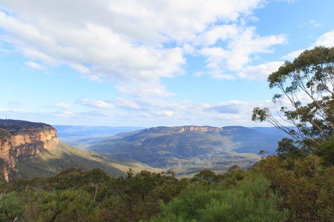 Dingo Travel - Accommodation Ballina 1