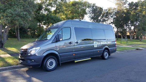 Dingo Travel - Accommodation Ballina 2
