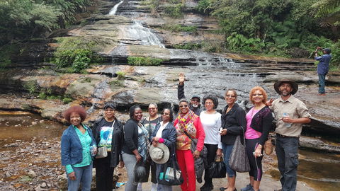 Dingo Travel - Accommodation Ballina 3