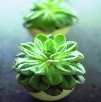 Crossroads Homemaker Centre - Accommodation Ballina 1