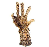 Coo-ee Aboriginal Art Gallery - Accommodation Ballina