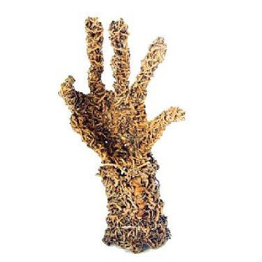 Coo-ee Aboriginal Art Gallery - Accommodation Ballina 0