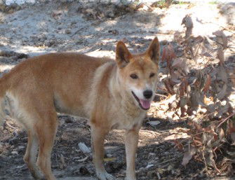  Accommodation Ballina