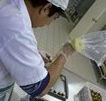 Fremantle Chocolate Pty ltd - Accommodation Ballina