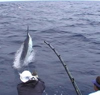 Amokura Charters - Accommodation Ballina
