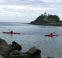 Newcastle Kayak Tours - Accommodation Ballina