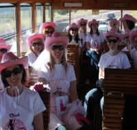 Newcastles Famous Tram - Accommodation Ballina
