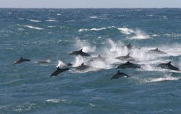  Accommodation Ballina