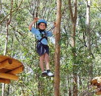 TreeTops Newcastle - Accommodation Ballina
