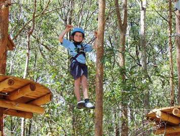 TreeTops Newcastle - Accommodation Ballina 0