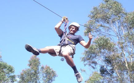 TreeTops Newcastle - Accommodation Ballina 1