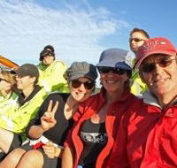 Byron Bay Whale Watching - Accommodation Ballina