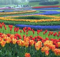 Botanica World Discoveries - Accommodation Ballina