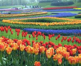 Botanica World Discoveries - Accommodation Ballina 0