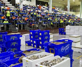 Sydney Fish Market - Accommodation Ballina 0
