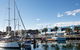 Sydney Fish Market - thumb 2