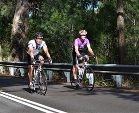 Global Cycle Rides - Accommodation Ballina 2