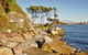 Clark Island - thumb 0