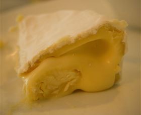 The Cheesemaking Workshop Sydney - Accommodation Ballina 4