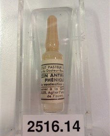 Museum Of Human Disease - Accommodation Ballina 2
