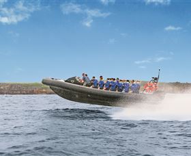 Manly Ocean Adventures - Accommodation Ballina 2