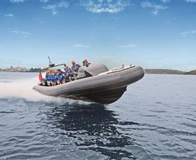 Manly Ocean Adventures - Accommodation Ballina 1