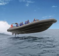 Manly Ocean Adventures - Accommodation Ballina