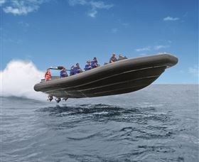 Manly Ocean Adventures - Accommodation Ballina 0