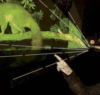 After Dark Nature Tours - Accommodation Ballina