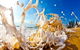 Saltmotion Gallery - thumb 1