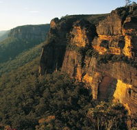 Blue Mountains Mountain Bike Adventure Tour - Accommodation Ballina