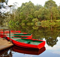 Lane Cove National Park - Accommodation Ballina