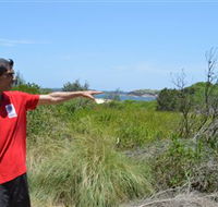 Kadoo Tours - Accommodation Ballina
