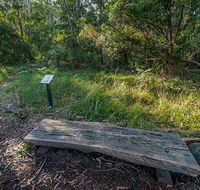 Browns Forest loop trail - Accommodation Ballina