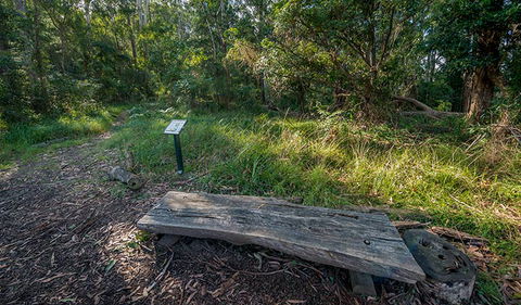 Browns Forest Loop Trail - Accommodation Ballina 0