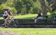 Pennant Hills West Pymble Fire Trail - thumb 0