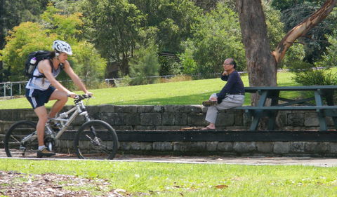 Pennant Hills West Pymble Fire Trail - Accommodation Ballina 0