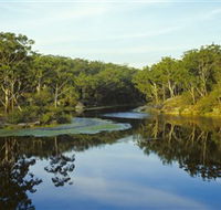 Lake Parramatta Reserve - Accommodation Ballina