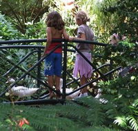 EG Waterhouse National Camellia Garden - Accommodation Ballina