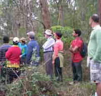 Boronia Tours - Accommodation Ballina