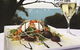 Bundeena RSL Club - thumb 0