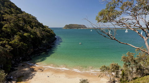 Ku-ring-gai Chase National Park - Accommodation Ballina 2