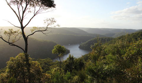 Barnetts Lookout - Accommodation Ballina 1