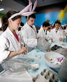 Australian Nuclear Science And Technology Organisation - Accommodation Ballina 1
