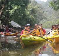 Southern Cross Kayaking - Hawkesbury - Accommodation Ballina