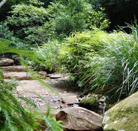Forest path - Accommodation Ballina