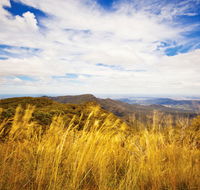Muogamarra Nature Reserve - Accommodation Ballina