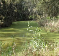 Second Ponds Creek walk - Accommodation Ballina